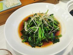 -聚鑫阁江浙菜·非遗传承技艺(闵行交大店)