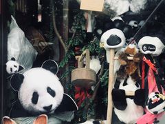 -熊猫屋(宽窄巷子景区店)