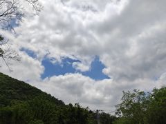 -木兰云雾山