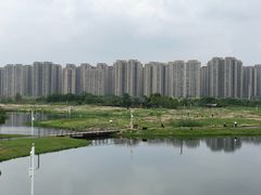 -洋湖国家湿地公园