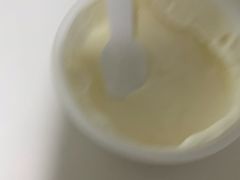 乐纯零蔗糖椰子三三三倍希腊酸奶-乐纯(苹果社区店)