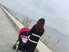 -芒洲湿地公园
