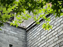 -VOYAGE COFFEE(杨梅竹店)