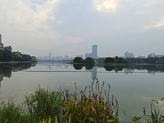 -南宁南湖公园