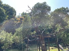 -草庵摩尼教遗址公园