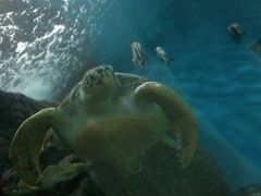 -苏州海洋馆