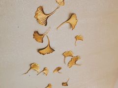 -小杨烤肉(高新店)