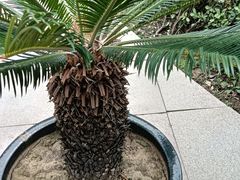 -北京中医药大学东方医院(方庄院区)