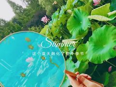 -大宁公园