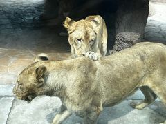 -北京野生动物园