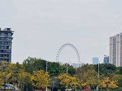 -牛岗山公园