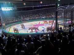 -西安秦岭野生动物园