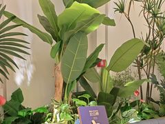 -Mezomd曼索蒂西班牙餐厅(广粤店)