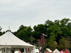-云栖山谷野奢营地