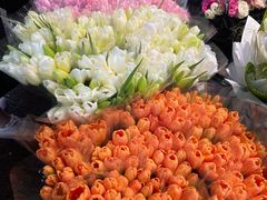 -循礼门鲜花花市(武汉循礼门店)