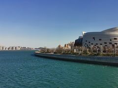 -星光岛