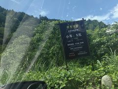 -五龙源极限漂流