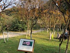 -塔子山公园