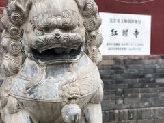 -红螺寺