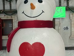 -世界之窗阿尔卑斯冰雪世界