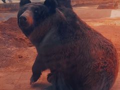 -昆明动物园