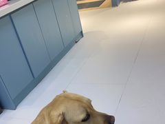 -柏萃动物医院·骨科·牙科