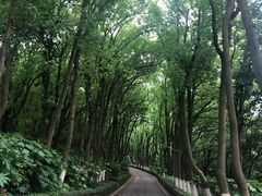 -上海市保健医疗中心