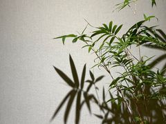 -十二舍·湯物素煮(江泰潤政店)