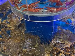 水产区-新海渔港·胶东海鲜家常菜·家宴(奥体中心店)