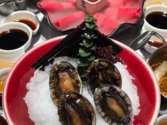 -红鼎豆捞·专注品质海鲜20年(宝丰路店)