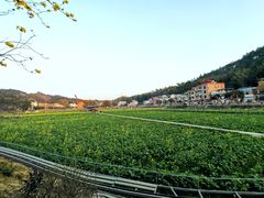 -红山村