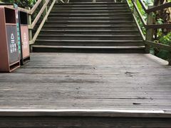 -野象谷景区