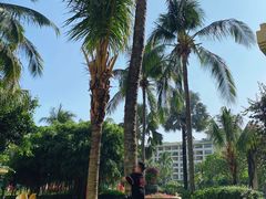 -三亚亚龙湾天域度假酒店