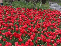 -玄武湖景区-情侣园游乐场