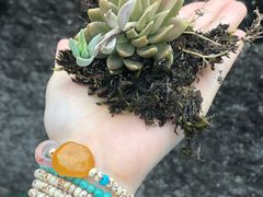 -石棉县孟获城