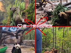 -广州长隆野生动物世界