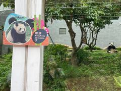 -石排湾郊野公园