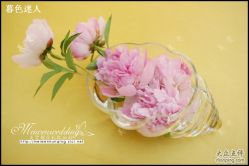 美雯苏宁卢浮宫-苏宁环球套房饭店·宴会厅