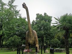 -金钉子远古世界景区