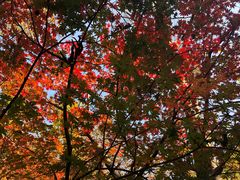 -丹东天桥沟景区