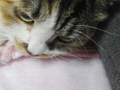-达爱动物医院·犬猫分区·CT·复杂眼科(远洋山水分院)
