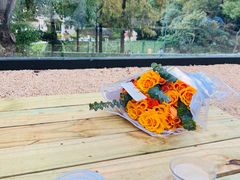 -J Create城市露营咖啡·简餐·宠物(上海动物园店)