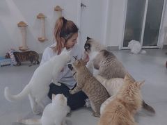 -Heymao猫咖.咖啡厅(东门店)