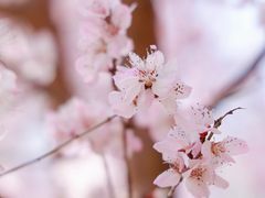 -安定门(地铁站)