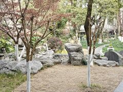 -墨池公园