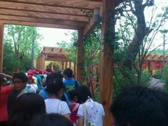 -热带风暴水上乐园(新镇路)