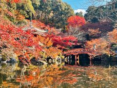 -醍醐寺