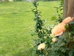 -黄陂区野村谷景区