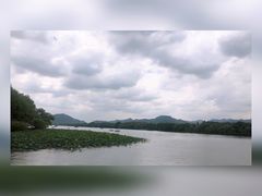 -西湖游船
