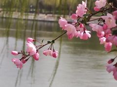 -陶然亭公园